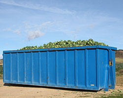 Dumpster Rental in Sacramento County