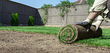 Bronx County Sod Installation